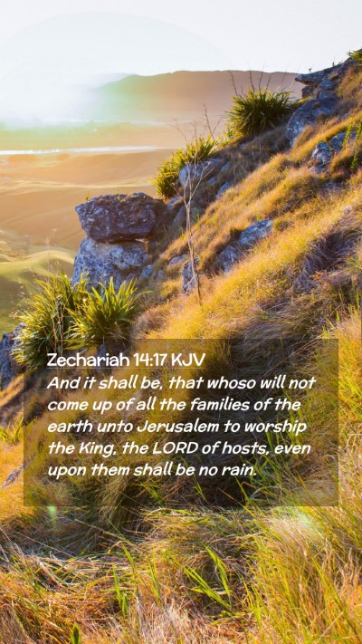 Picture 02 - Zechariah 14:17 KJV Mobile Phone Wallpaper - And it shall be, that whoso will not come up of - Mobile Bible Verse Wallpaper