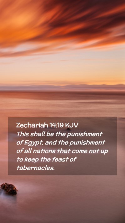 Picture 02 - Zechariah 14:19 KJV Mobile Phone Wallpaper - This shall be the punishment of Egypt, and the - Mobile Bible Verse Wallpaper