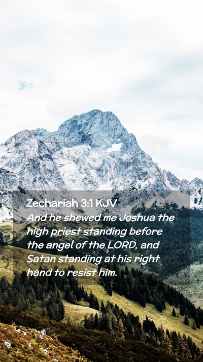 Picture 02 - Zechariah 3:1 KJV Mobile Phone Wallpaper - And he shewed me Joshua the high priest standing - Mobile Bible Verse Wallpaper