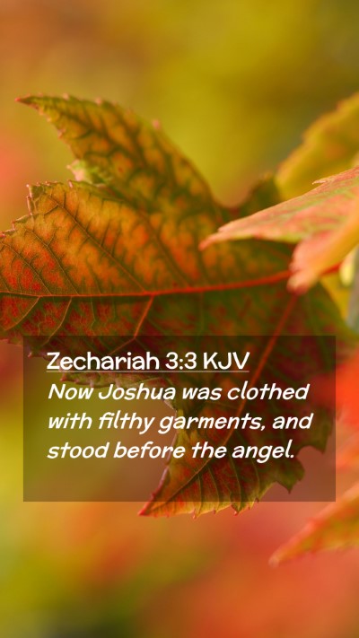 Picture 02 - Zechariah 3:3 KJV Mobile Phone Wallpaper - Now Joshua was clothed with filthy garments, and - Mobile Bible Verse Wallpaper