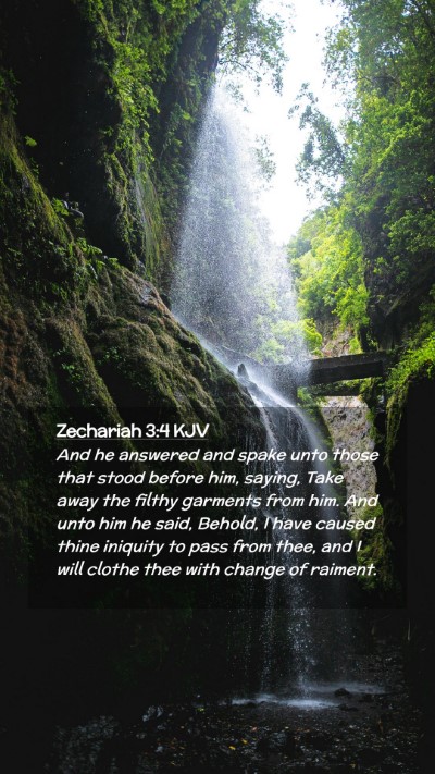 Picture 02 - Zechariah 3:4 KJV Mobile Phone Wallpaper - And he answered and spake unto those that stood - Mobile Bible Verse Wallpaper