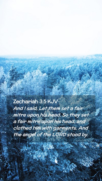 Picture 02 - Zechariah 3:5 KJV Mobile Phone Wallpaper - And I said, Let them set a fair mitre upon his - Mobile Bible Verse Wallpaper