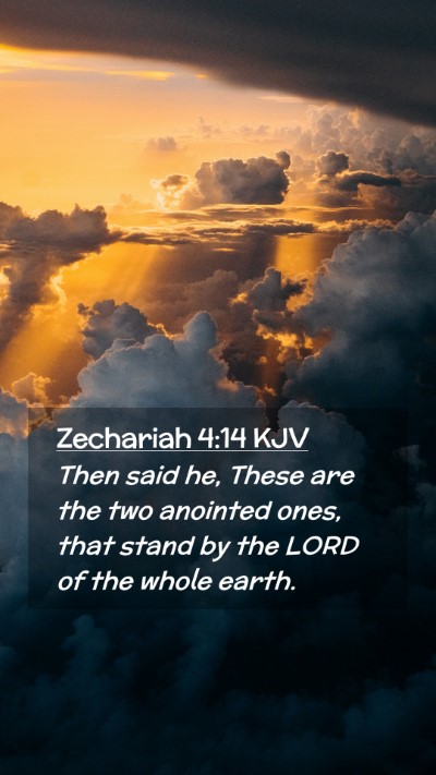 Picture 02 - Zechariah 4:14 KJV Mobile Phone Wallpaper - Then said he, These are the two anointed ones, - Mobile Bible Verse Wallpaper