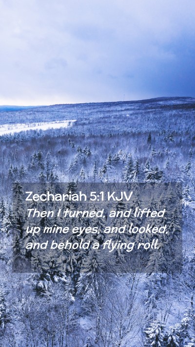 Picture 02 - Zechariah 5:1 KJV Mobile Phone Wallpaper - Then I turned, and lifted up mine eyes, and - Mobile Bible Verse Wallpaper
