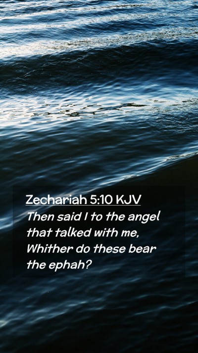 Picture 02 - Zechariah 5:10 KJV Mobile Phone Wallpaper - Then said I to the angel that talked with me, - Mobile Bible Verse Wallpaper