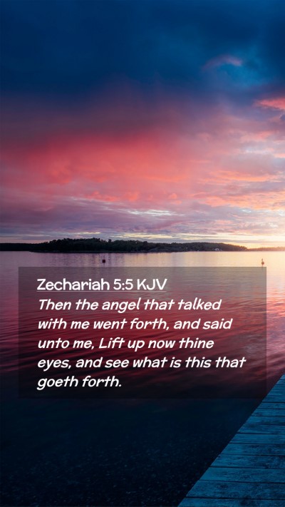 Picture 02 - Zechariah 5:5 KJV Mobile Phone Wallpaper - Then the angel that talked with me went forth, - Mobile Bible Verse Wallpaper