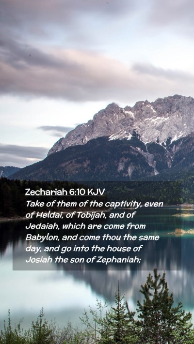 Picture 02 - Zechariah 6:10 KJV Mobile Phone Wallpaper - Take of them of the captivity, even of Heldai, of - Mobile Bible Verse Wallpaper