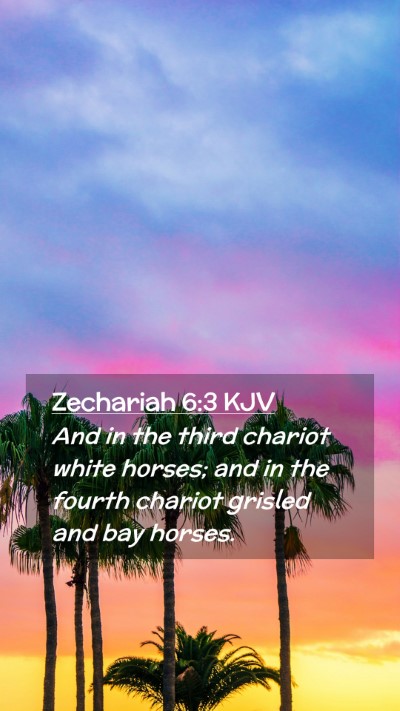 Picture 02 - Zechariah 6:3 KJV Mobile Phone Wallpaper - And in the third chariot white horses; and in the - Mobile Bible Verse Wallpaper