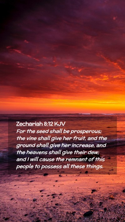 Picture 02 - Zechariah 8:12 KJV Mobile Phone Wallpaper - For the seed shall be prosperous; the vine shall - Mobile Bible Verse Wallpaper