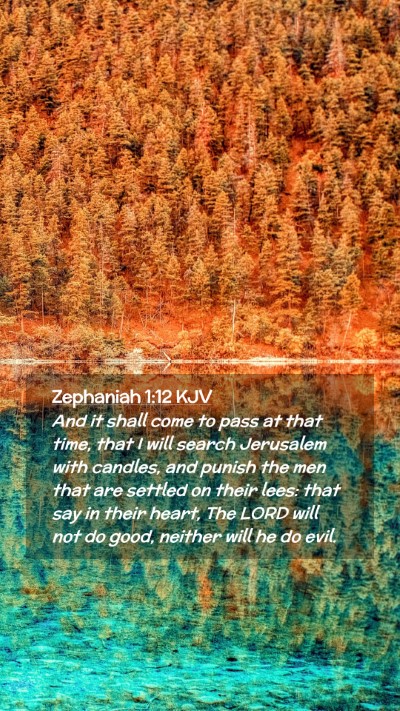 Picture 02 - Zephaniah 1:12 KJV Mobile Phone Wallpaper - And it shall come to pass at that time, that I - Mobile Bible Verse Wallpaper