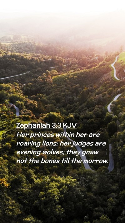 Picture 02 - Zephaniah 3:3 KJV Mobile Phone Wallpaper - Her princes within her are roaring lions; her - Mobile Bible Verse Wallpaper