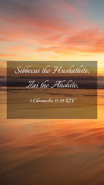 Picture 03 - 1 Chronicles 11:29 KJV Mobile Phone Wallpaper - Sibbecai the Hushathite, Ilai the - Mobile Bible Verse Wallpaper