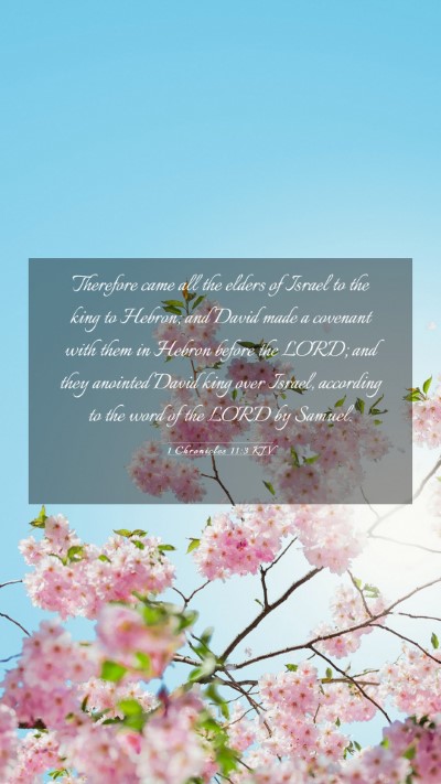 Picture 03 - 1 Chronicles 11:3 KJV Mobile Phone Wallpaper - Therefore came all the elders of Israel to the - Mobile Bible Verse Wallpaper
