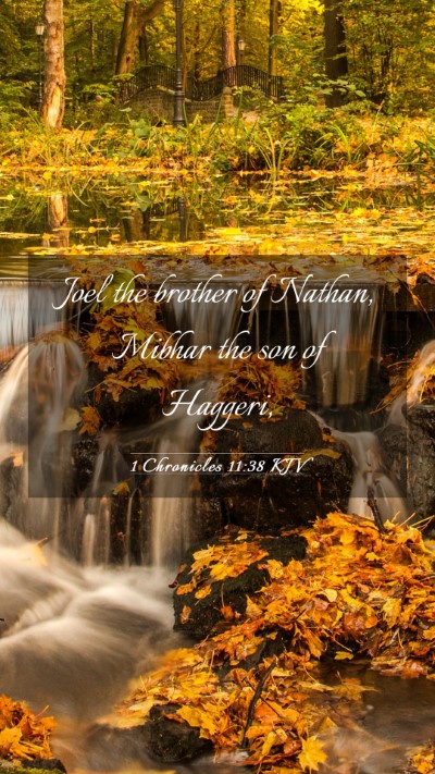 Picture 03 - 1 Chronicles 11:38 KJV Mobile Phone Wallpaper - Joel the brother of Nathan, Mibhar the son of - Mobile Bible Verse Wallpaper