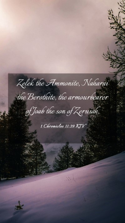 Picture 03 - 1 Chronicles 11:39 KJV Mobile Phone Wallpaper - Zelek the Ammonite, Naharai the Berothite, the - Mobile Bible Verse Wallpaper