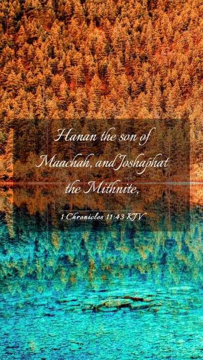 Picture 03 - 1 Chronicles 11:43 KJV Mobile Phone Wallpaper - Hanan the son of Maachah, and Joshaphat the - Mobile Bible Verse Wallpaper