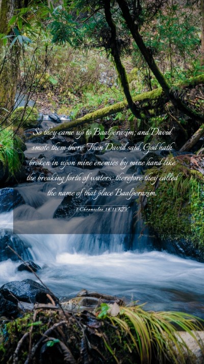 Picture 03 - 1 Chronicles 14:11 KJV Mobile Phone Wallpaper - So they came up to Baalperazim; and David smote - Mobile Bible Verse Wallpaper