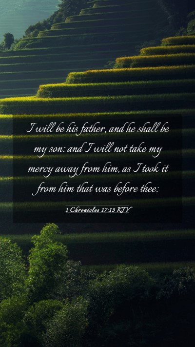 Picture 03 - 1 Chronicles 17:13 KJV Mobile Phone Wallpaper - I will be his father, and he shall be my son: and - Mobile Bible Verse Wallpaper