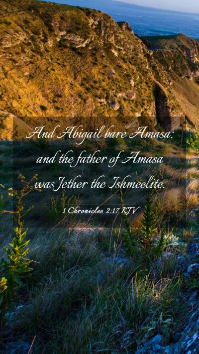 Picture 03 - 1 Chronicles 2:17 KJV Mobile Phone Wallpaper - And Abigail bare Amasa: and the father of Amasa - Mobile Bible Verse Wallpaper