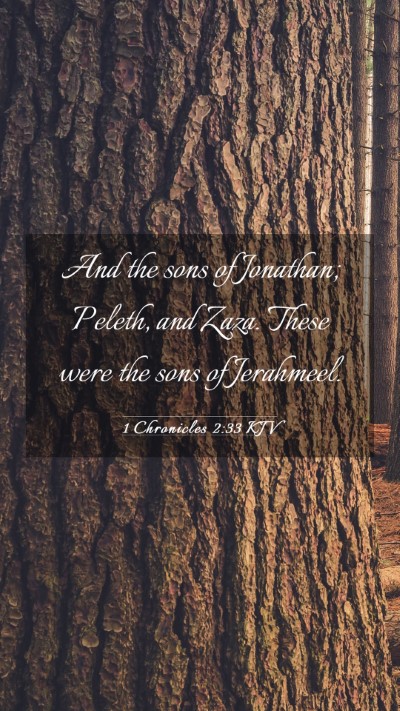 Picture 03 - 1 Chronicles 2:33 KJV Mobile Phone Wallpaper - And the sons of Jonathan; Peleth, and Zaza. These - Mobile Bible Verse Wallpaper