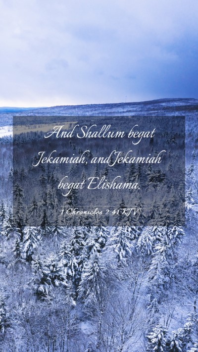 Picture 03 - 1 Chronicles 2:41 KJV Mobile Phone Wallpaper - And Shallum begat Jekamiah, and Jekamiah begat - Mobile Bible Verse Wallpaper
