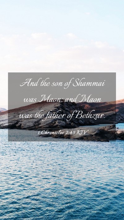 Picture 03 - 1 Chronicles 2:45 KJV Mobile Phone Wallpaper - And the son of Shammai was Maon: and Maon was the - Mobile Bible Verse Wallpaper