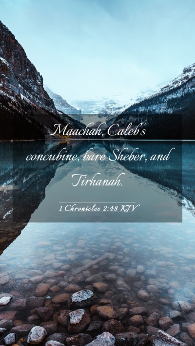 Picture 03 - 1 Chronicles 2:48 KJV Mobile Phone Wallpaper - Maachah, Caleb's concubine, bare Sheber, and - Mobile Bible Verse Wallpaper
