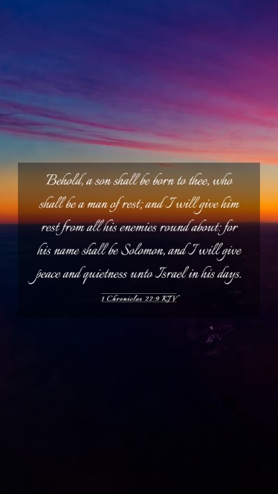 Picture 03 - 1 Chronicles 22:9 KJV Mobile Phone Wallpaper - Behold, a son shall be born to thee, who shall be - Mobile Bible Verse Wallpaper