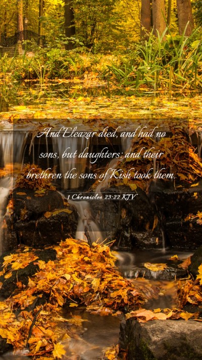 Picture 03 - 1 Chronicles 23:22 KJV Mobile Phone Wallpaper - And Eleazar died, and had no sons, but daughters: - Mobile Bible Verse Wallpaper