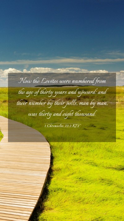Picture 03 - 1 Chronicles 23:3 KJV Mobile Phone Wallpaper - Now the Levites were numbered from the age of - Mobile Bible Verse Wallpaper