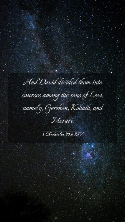 Picture 03 - 1 Chronicles 23:6 KJV Mobile Phone Wallpaper - And David divided them into courses among the - Mobile Bible Verse Wallpaper