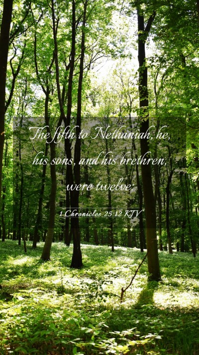 Picture 03 - 1 Chronicles 25:12 KJV Mobile Phone Wallpaper - The fifth to Nethaniah, he, his sons, and his - Mobile Bible Verse Wallpaper