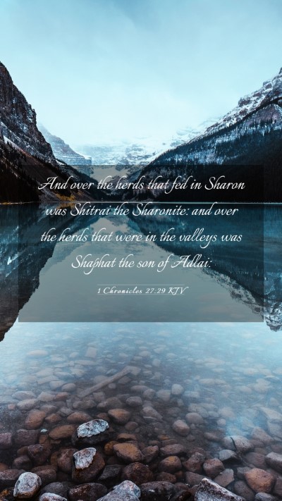 Picture 03 - 1 Chronicles 27:29 KJV Mobile Phone Wallpaper - And over the herds that fed in Sharon was Shitrai - Mobile Bible Verse Wallpaper