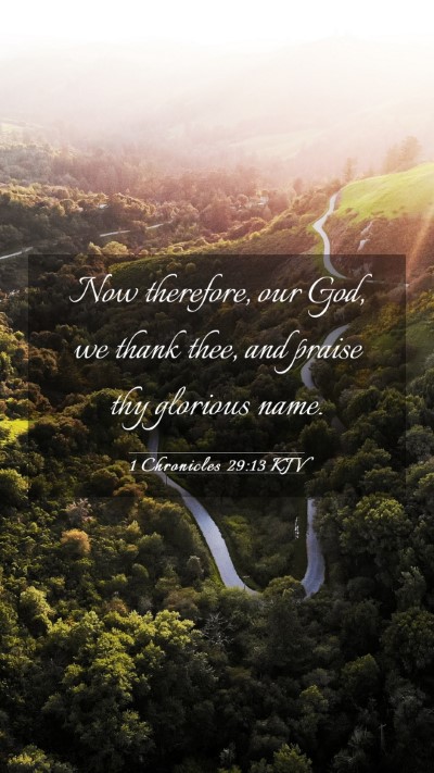 Picture 03 - 1 Chronicles 29:13 KJV Mobile Phone Wallpaper - Now therefore, our God, we thank thee, and praise - Mobile Bible Verse Wallpaper