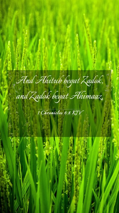 Picture 03 - 1 Chronicles 6:8 KJV Mobile Phone Wallpaper - And Ahitub begat Zadok, and Zadok begat - Mobile Bible Verse Wallpaper