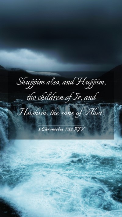 Picture 03 - 1 Chronicles 7:12 KJV Mobile Phone Wallpaper - Shuppim also, and Huppim, the children of Ir, and - Mobile Bible Verse Wallpaper