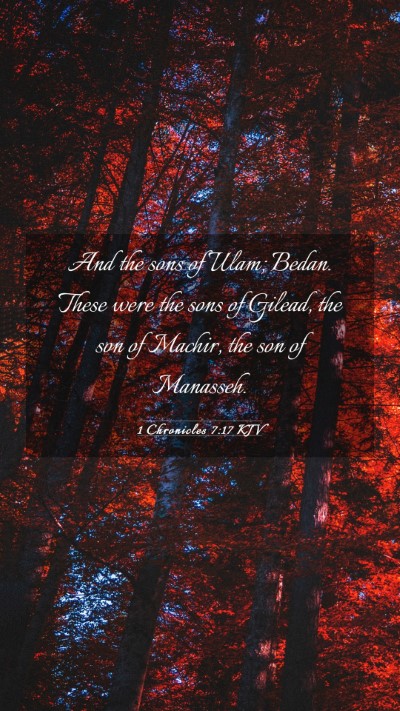 Picture 03 - 1 Chronicles 7:17 KJV Mobile Phone Wallpaper - And the sons of Ulam; Bedan. These were the sons - Mobile Bible Verse Wallpaper