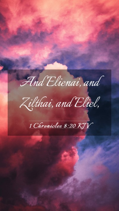 Picture 03 - 1 Chronicles 8:20 KJV Mobile Phone Wallpaper - And Elienai, and Zilthai, and - Mobile Bible Verse Wallpaper