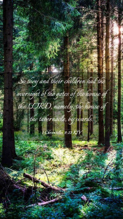 Picture 03 - 1 Chronicles 9:23 KJV Mobile Phone Wallpaper - So they and their children had the oversight of - Mobile Bible Verse Wallpaper