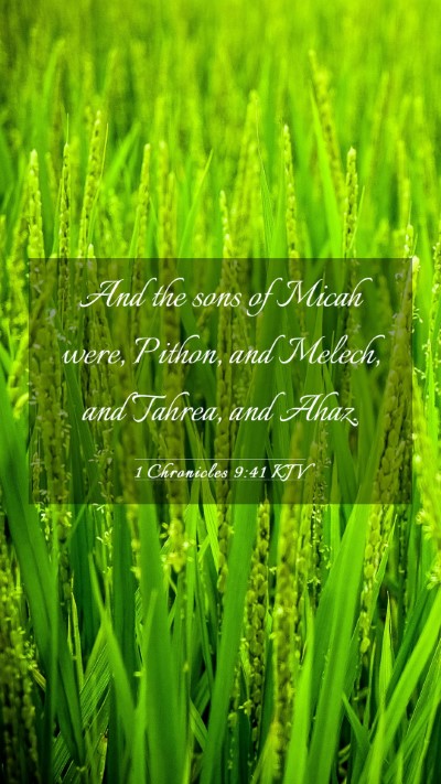 Picture 03 - 1 Chronicles 9:41 KJV Mobile Phone Wallpaper - And the sons of Micah were, Pithon, and Melech, - Mobile Bible Verse Wallpaper