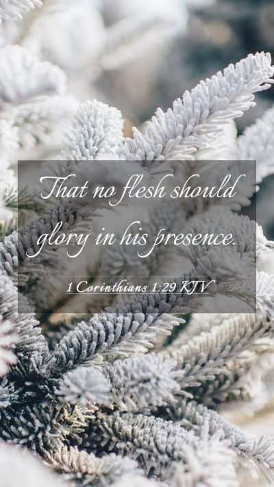 Picture 03 - 1 Corinthians 1:29 KJV Mobile Phone Wallpaper - That no flesh should glory in his - Mobile Bible Verse Wallpaper