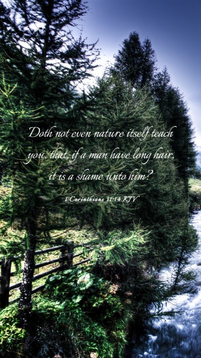 Picture 03 - 1 Corinthians 11:14 KJV Mobile Phone Wallpaper - Doth not even nature itself teach you, that, if a - Mobile Bible Verse Wallpaper