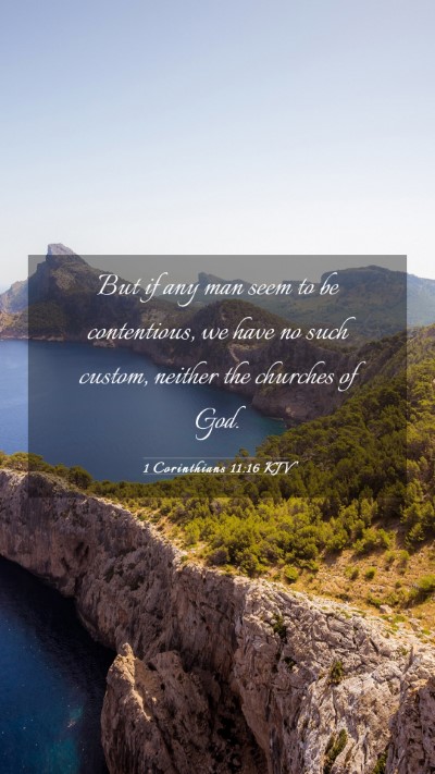 Picture 03 - 1 Corinthians 11:16 KJV Mobile Phone Wallpaper - But if any man seem to be contentious, we have no - Mobile Bible Verse Wallpaper