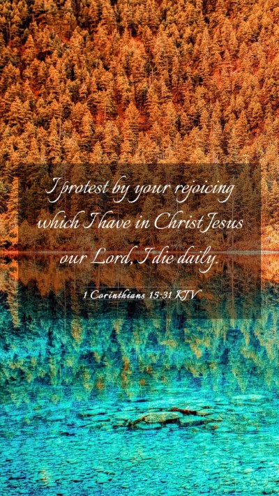Picture 03 - 1 Corinthians 15:31 KJV Mobile Phone Wallpaper - I protest by your rejoicing which I have in - Mobile Bible Verse Wallpaper
