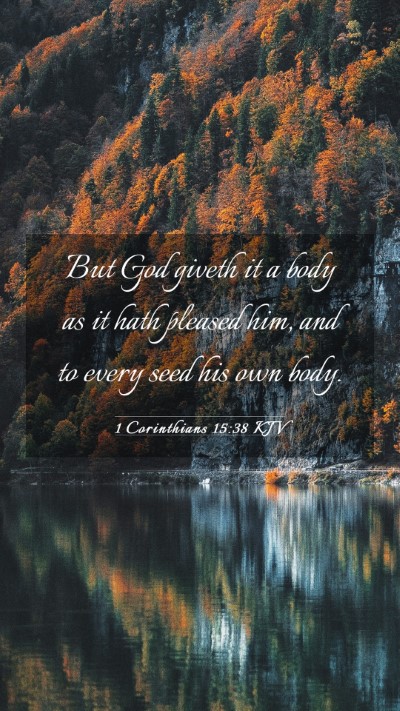 Picture 03 - 1 Corinthians 15:38 KJV Mobile Phone Wallpaper - But God giveth it a body as it hath pleased him, - Mobile Bible Verse Wallpaper