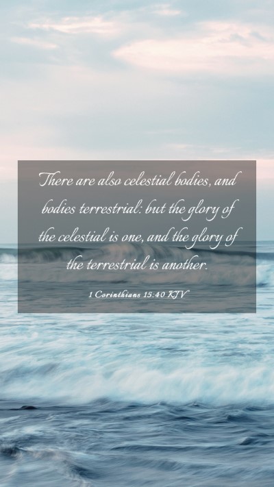Picture 03 - 1 Corinthians 15:40 KJV Mobile Phone Wallpaper - There are also celestial bodies, and bodies - Mobile Bible Verse Wallpaper