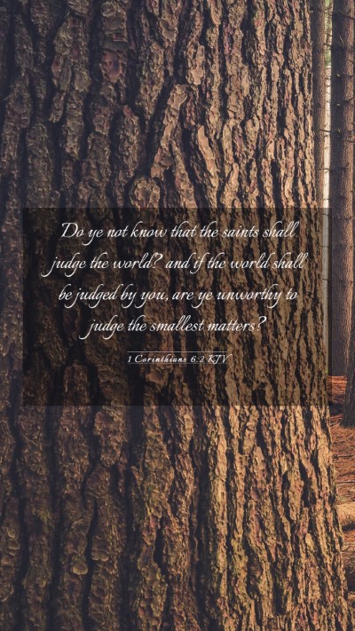 Picture 03 - 1 Corinthians 6:2 KJV Mobile Phone Wallpaper - Do ye not know that the saints shall judge the - Mobile Bible Verse Wallpaper