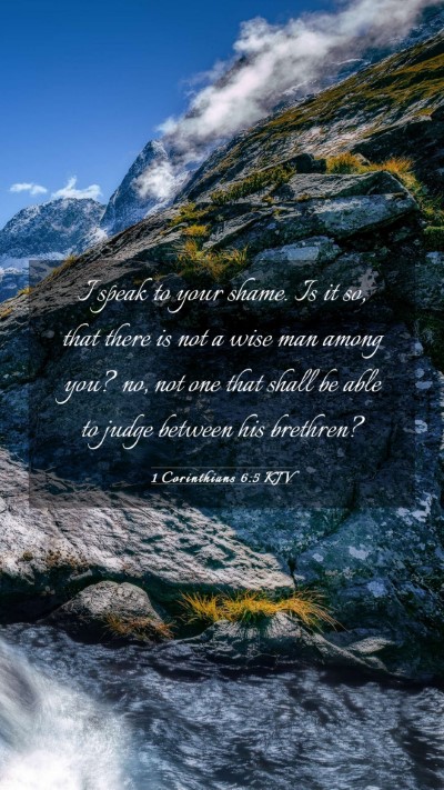 Picture 03 - 1 Corinthians 6:5 KJV Mobile Phone Wallpaper - I speak to your shame. Is it so, that there is - Mobile Bible Verse Wallpaper