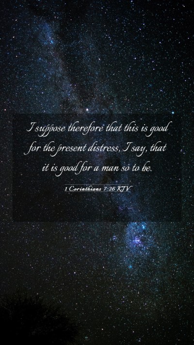 Picture 03 - 1 Corinthians 7:26 KJV Mobile Phone Wallpaper - I suppose therefore that this is good for the - Mobile Bible Verse Wallpaper