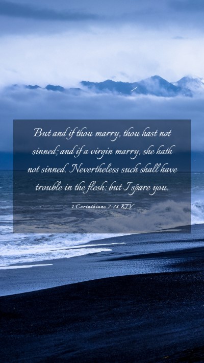 Picture 03 - 1 Corinthians 7:28 KJV Mobile Phone Wallpaper - But and if thou marry, thou hast not sinned; and - Mobile Bible Verse Wallpaper